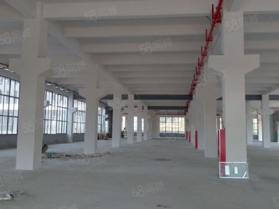 苏州市吴中区 横泾 独栋 3600方 全新厂房图5