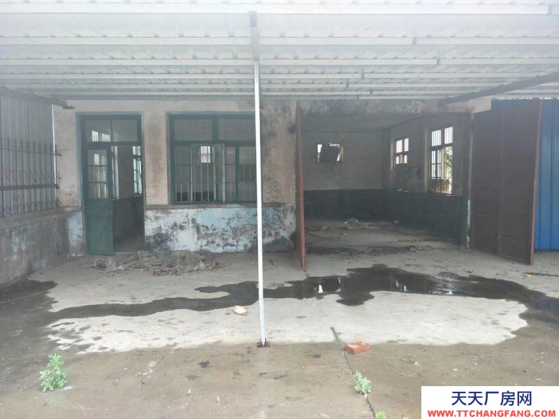 龙口北马刁家村西头,龙青高速 厂房 800平米出租出售