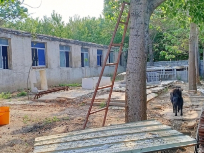 龙口仓库16间，养值棚12跨一排图1