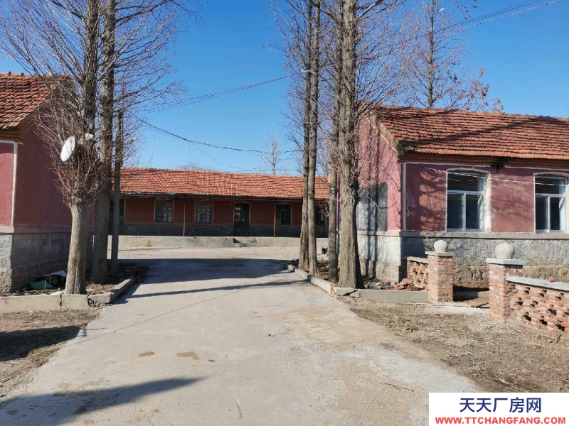 莱阳市万第镇学校大院出租、出售