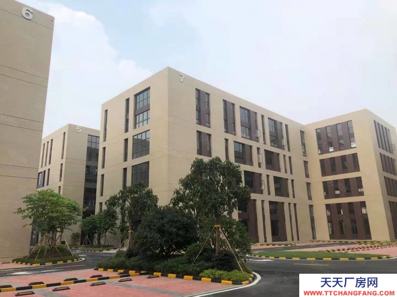 (出售) 佛山禅城现楼半独栋厂房 仅售3800元 税收低 层层出证