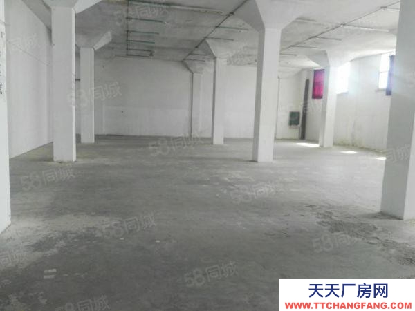 (出租) 安庆大观厂房、仓库出租（原染织总厂）