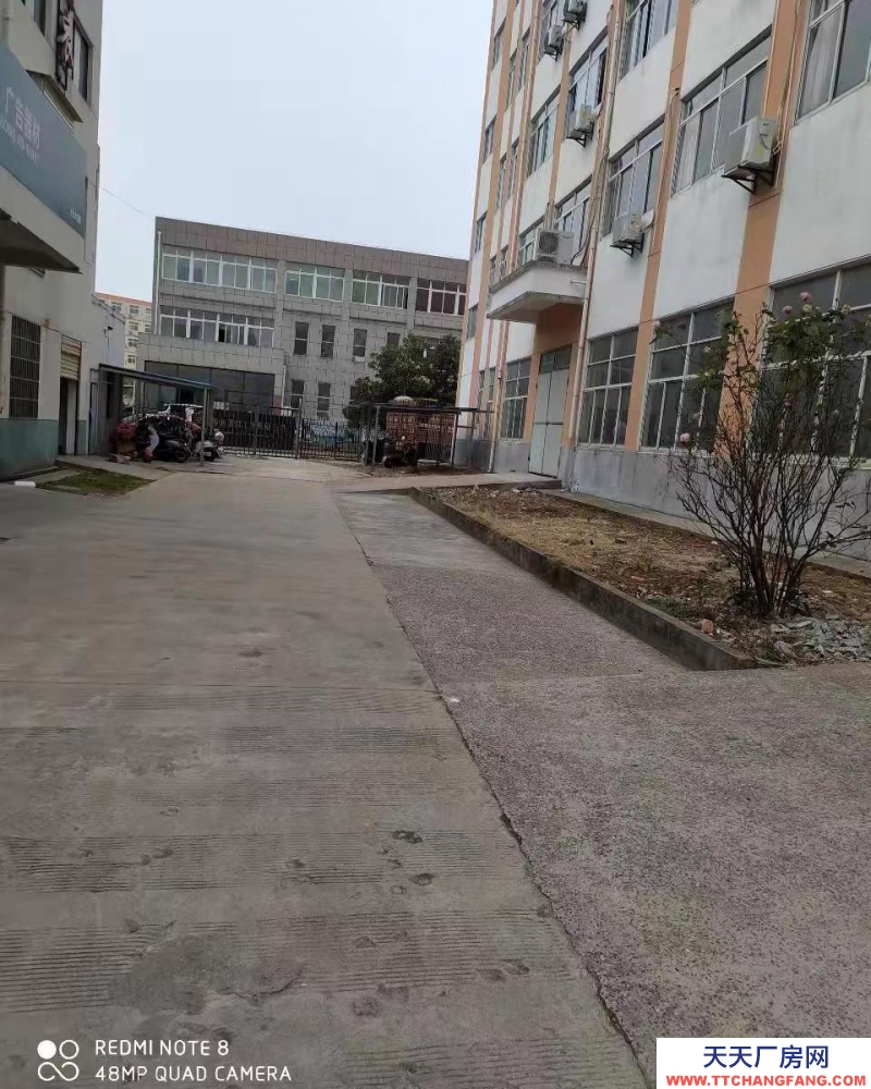 (出租) 安庆大观厂房对外整体出租也可分租