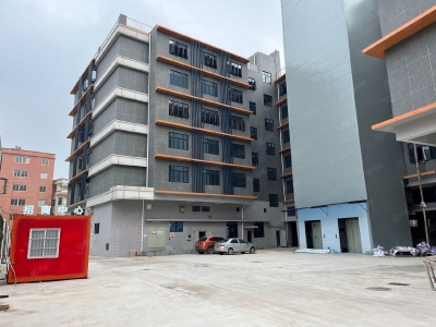 (出租) 佛山南海开发商直租全新独栋仓库出租配2台大型货梯可进大型拖挂证照齐全图3