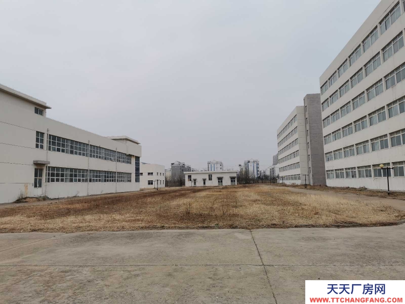 莱州经开区 高标准 工业厂房 免租 可分割
