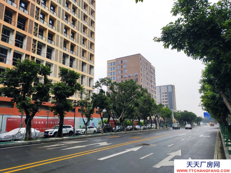 (出租) 佛山禅城全新装修纱仓布仓厂房可分租拖头可入1200个停车位10吨货梯