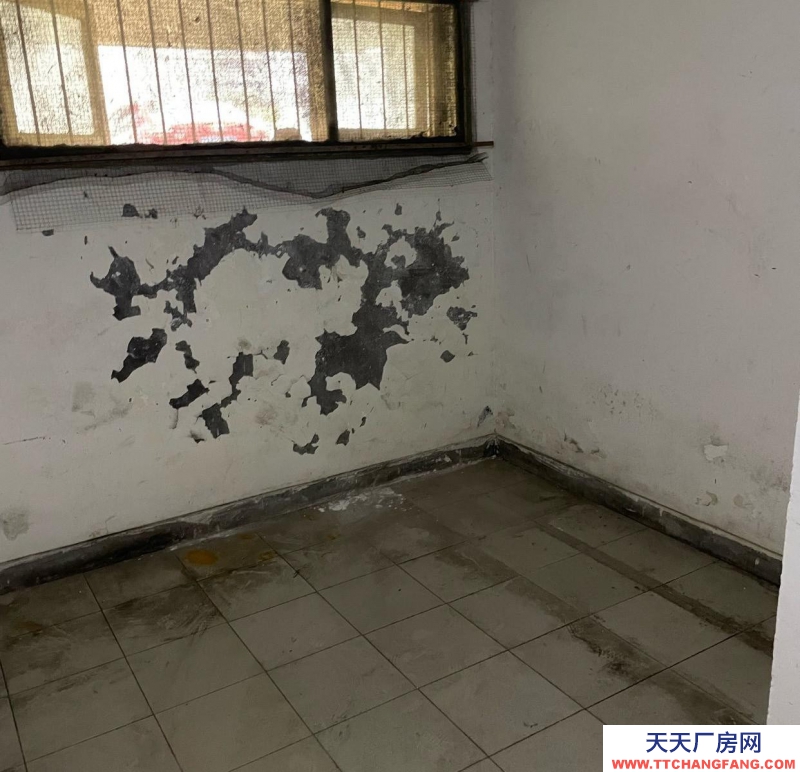(出租) 安庆迎江自己家小仓库现在对外出租
