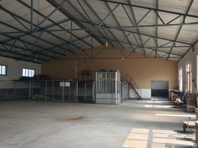 莱州1000平厂房，10多间办公室图1