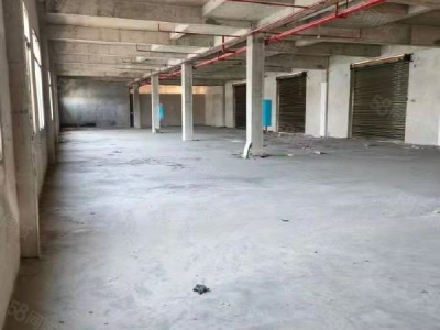 益阳市赫山区出租洁丽洗涤中心标准全新厂房仓库图3