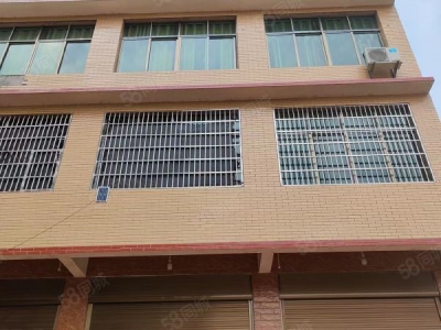 益阳市赫山区紧邻G319道路交通便利房东自建标准厂房仓库优价出租图3