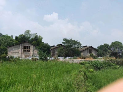 益阳市赫山区紧邻国道234带饲料塔房东自建标准仓库养殖厂优价出租图2