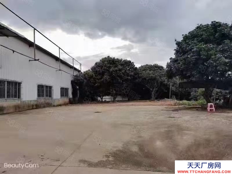 (出租) 佛山顺德乐从镇300600平方厂房仓库出租，价格14元好进车