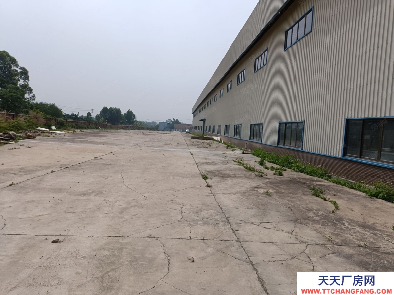 (出租) 佛山顺德杏坛仓库出租7000平方，空地大，红本厂房仓库，高速出口旁。