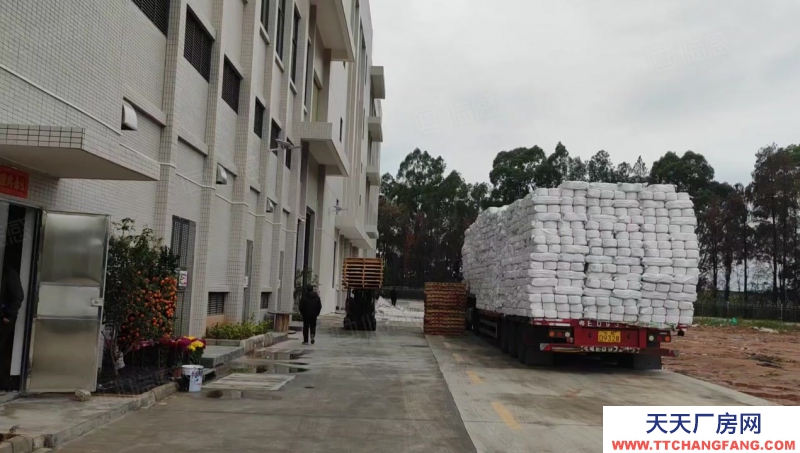 (出租) 佛山三水货物托管出租佛山市三水区云东海全新仓库。