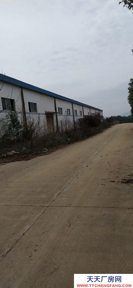 (出租) 安庆宿松辉隆连锁宿松配送中心仓库出租