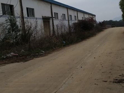 (出租) 安庆宿松辉隆连锁宿松配送中心仓库出租图2