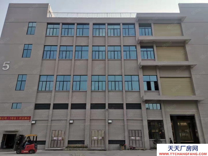 (出租) 佛山三水区云东海高标托管仓库出租 大路边丙二消防仓库