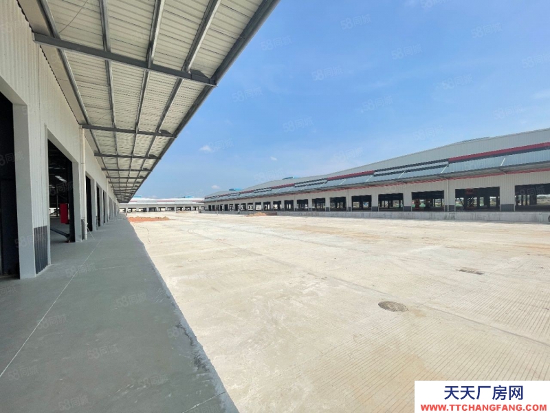 (出租) 佛山高明全新高台仓库15米高 荷城工业区10万方出租 高标准 可分租