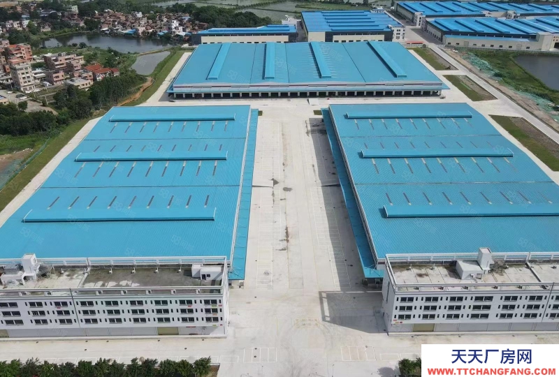 (出租) 佛山高明全新高台仓库15米高 荷城工业区10万方出租 高标准 可分租