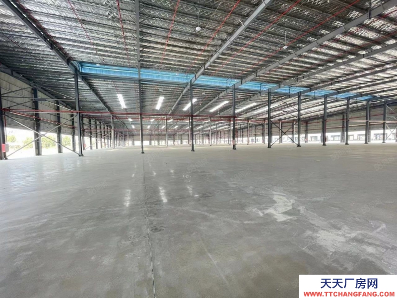 (出租) 佛山高明全新高台仓库15米高 荷城工业区10万方出租 高标准 可分租