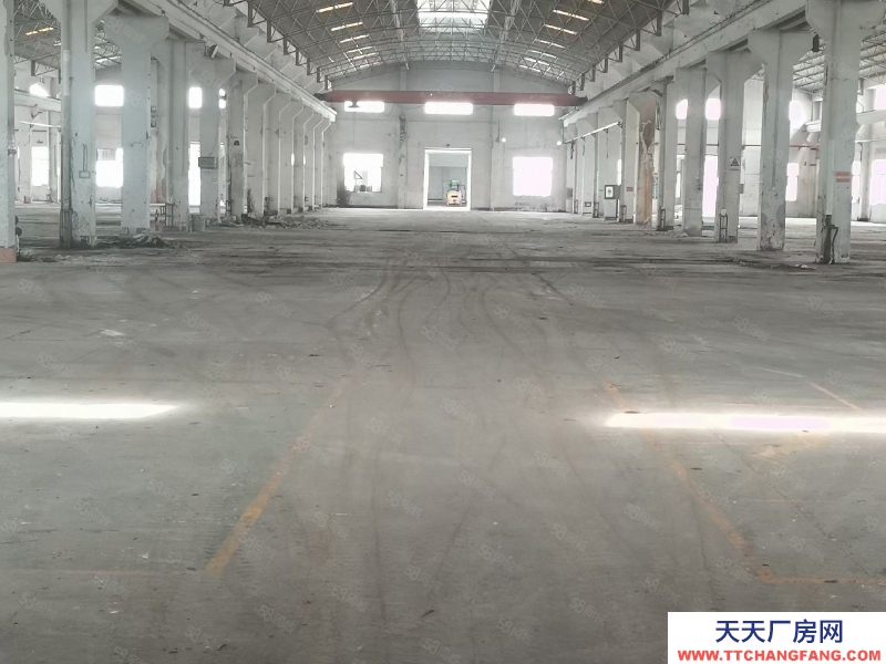 (出租) 高明三和路仓库出租，单层，多层都有空地大，方便进出货车