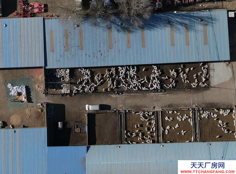 (出租) 场地出租 现有龙泉镇东关村洋墩河东公路南侧