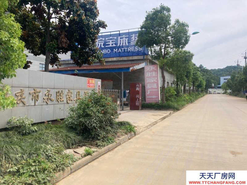 (出租) 安庆怀宁标准化厂房出租永胜家具厂