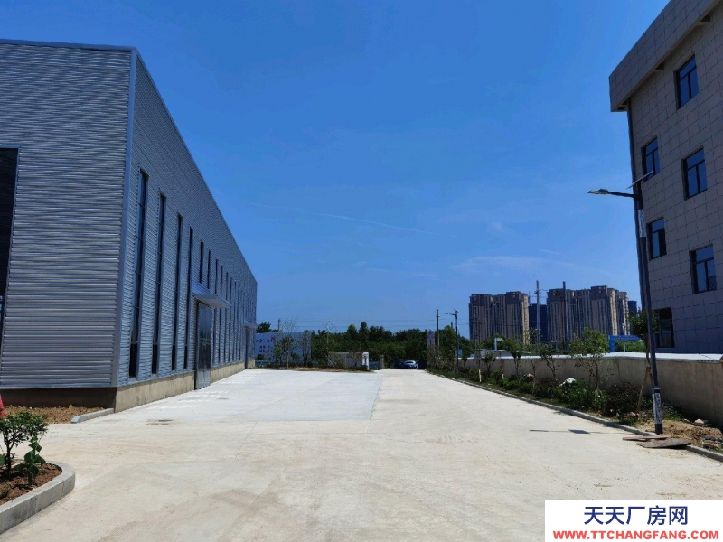 (出租) 安庆桐城新建单层12米钢结构工业厂房出租