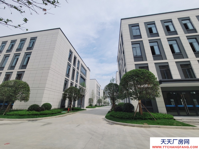 售青白江全新独栋双拼厂房 50年独立产权 可按揭