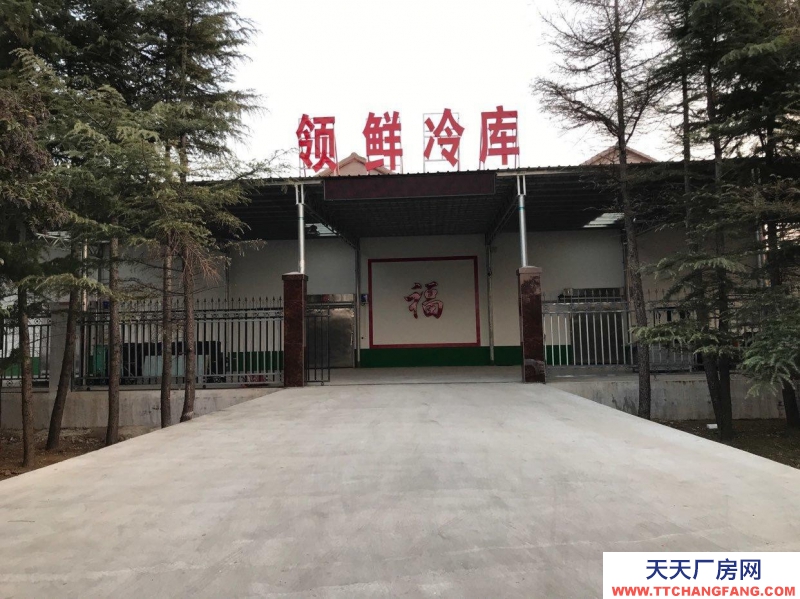 莱州市区万通水产市场领鲜冷库对外出租库温低、厂家生产销售块冰