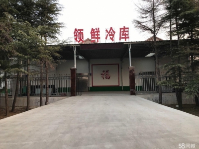 莱州市区万通水产市场领鲜冷库对外出租库温低、厂家生产销售块冰图1