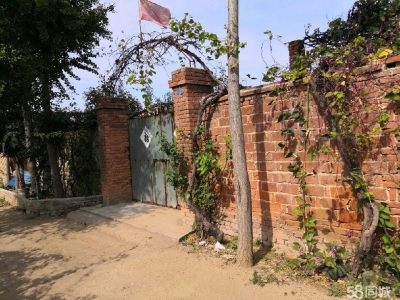 莱州北路 理工学校西图1