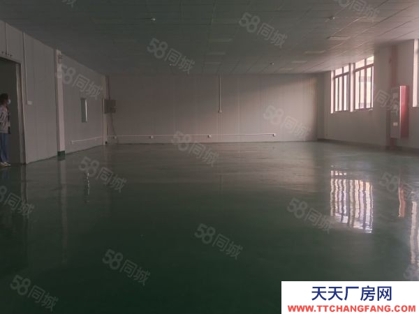 苏州市吴中区胥口 独栋单层1500方层高5米 证件齐全 原房东直租