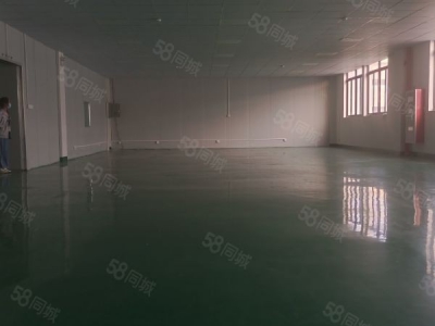 苏州市吴中区胥口 独栋单层1500方层高5米 证件齐全 原房东直租图1