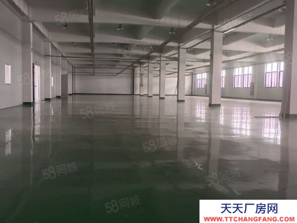 苏州市吴中区胥口 独栋单层1500方层高5米 证件齐全 原房东直租