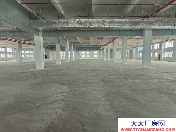 苏州市吴中区胥口 独栋单层1500方层高5米 证件齐全 原房东直租