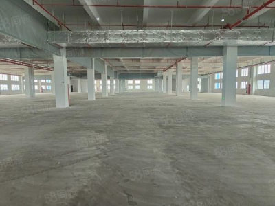 苏州市吴中区胥口 独栋单层1500方层高5米 证件齐全 原房东直租图4