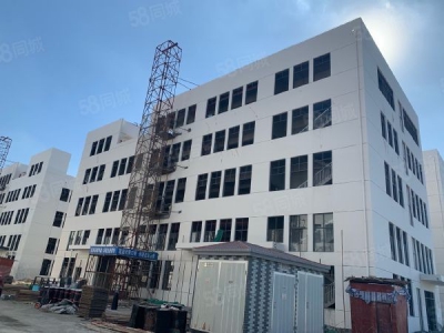 苏州市吴中区独立产权50年厂房出售面积2100平高度9米可架行车首付3成图7