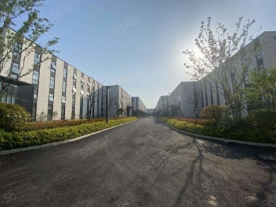苏州市吴中区均价四千起，高企高税可免租，2000平起独栋可租可售，图5
