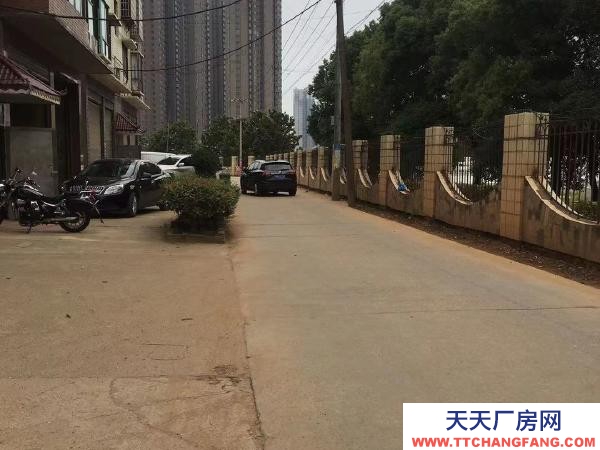 益阳市赫山区，框架结构门面高5米，后连钢结构厂房