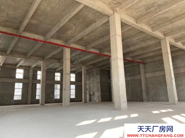 苏州市虎丘区地铁口现房租售首层6到8米，客户政府购置补贴人才奖励