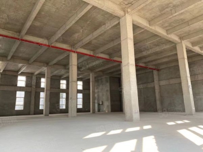 苏州市虎丘区地铁口现房租售首层6到8米，客户政府购置补贴人才奖励图1
