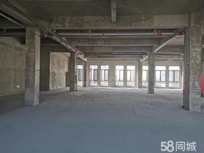 苏州市虎丘区 政府直招、独立产权、全新厂房图2