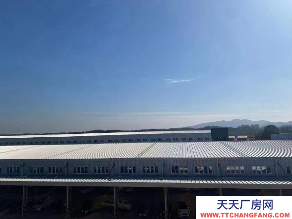 益阳市赫山区高标准仓库出租（平库、高台）