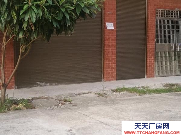 益阳市赫山区邓石桥高速附近八十平方