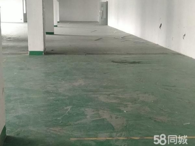 苏州市虎丘区场地大 停车方便 进出方便 可以分租图1