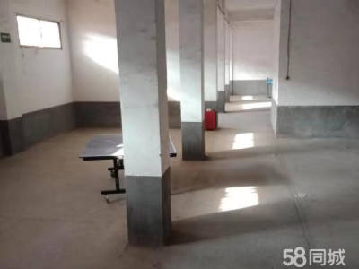 益阳市沅江市老药材公司仓库出租/租金面谈图1