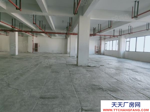 苏州市金阊区标准厂房6500平，共5层，可分租，加工，研发，产业园