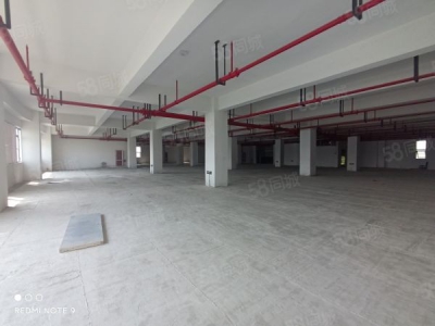 苏州市金阊新城1293平楼上全新厂房 可电商仓储展厅 客梯货梯均有图1