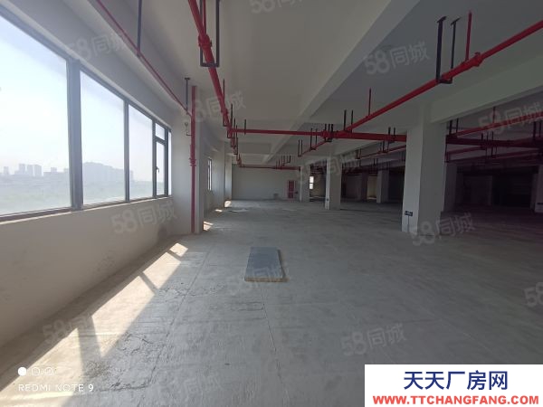 苏州市金阊新城1293平楼上全新厂房 可电商仓储展厅 客梯货梯均有